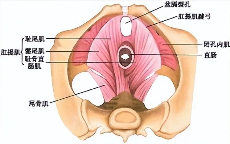 李沁近照瘦脱相，网友：这也太瘦了