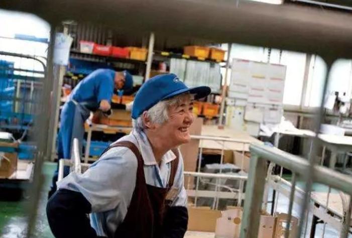 50万日本老人来中国养老不成，日本专家建议：老人全部集体切腹