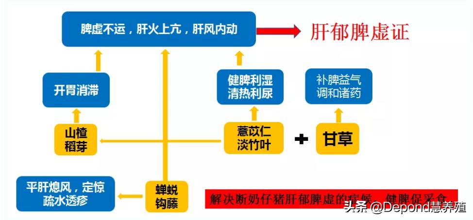 猪顽固拉稀怎么办,猪不爱吃料是怎么回事啊