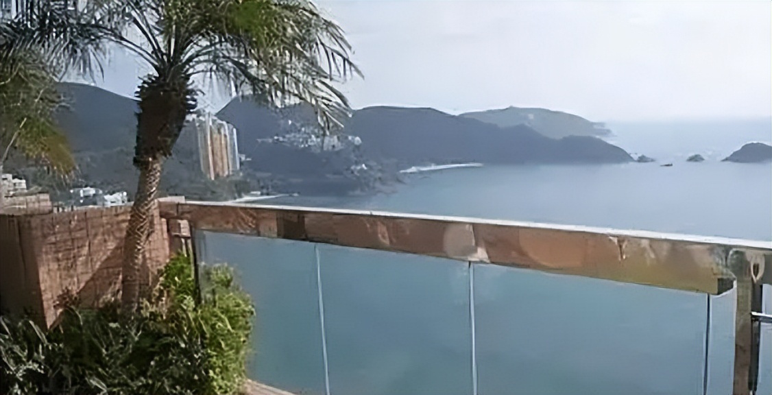 港姐袁咏仪包包,袁咏仪最贵的爱马仕包