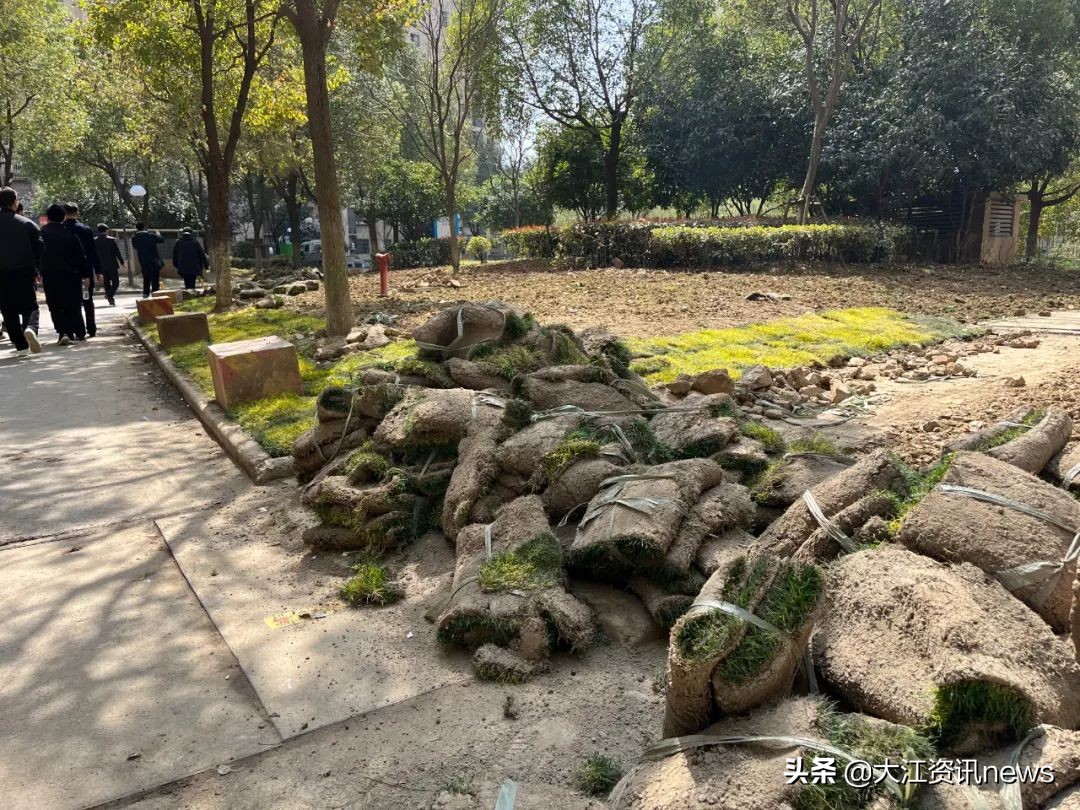 物业被整治视频,曝光五个物业最差的小区