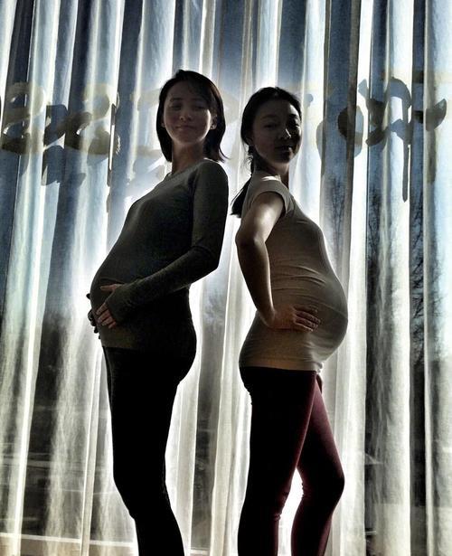 香港大陆台湾电影译名一览,港台电影译名