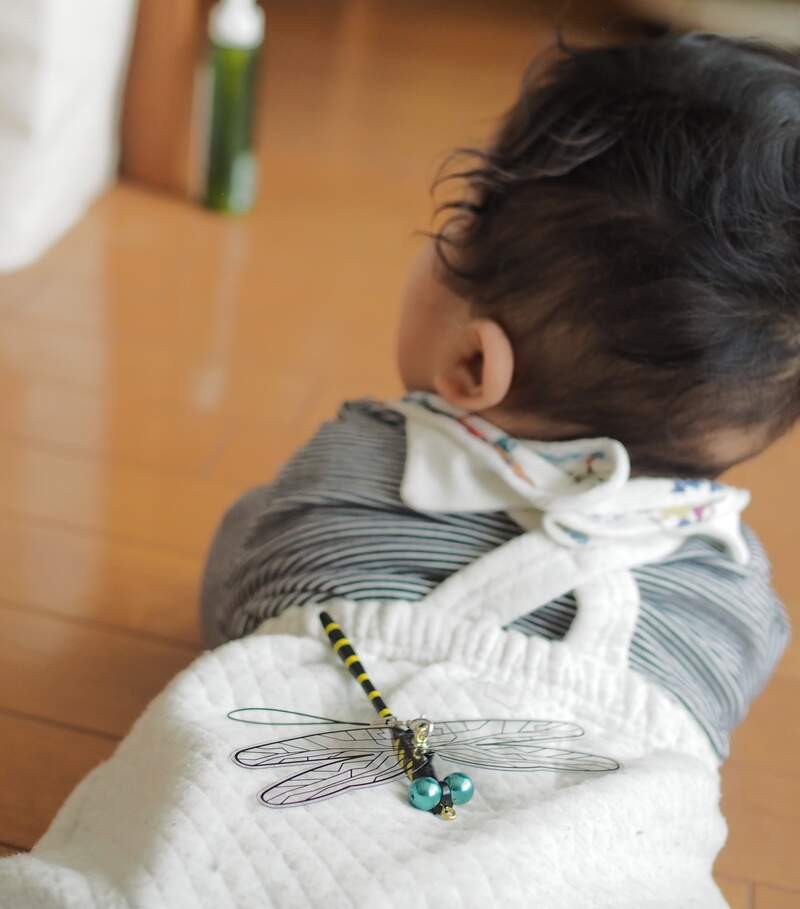 蜻蜓一小时吃多少只蚊子,蜻蜓能吃多少只蚊子