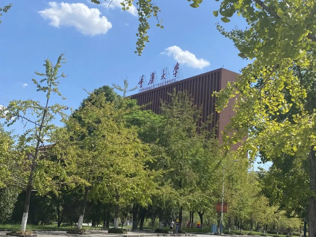 重庆大学研究生复试拟录取名单,重庆大学硕士研究生复试录取比例