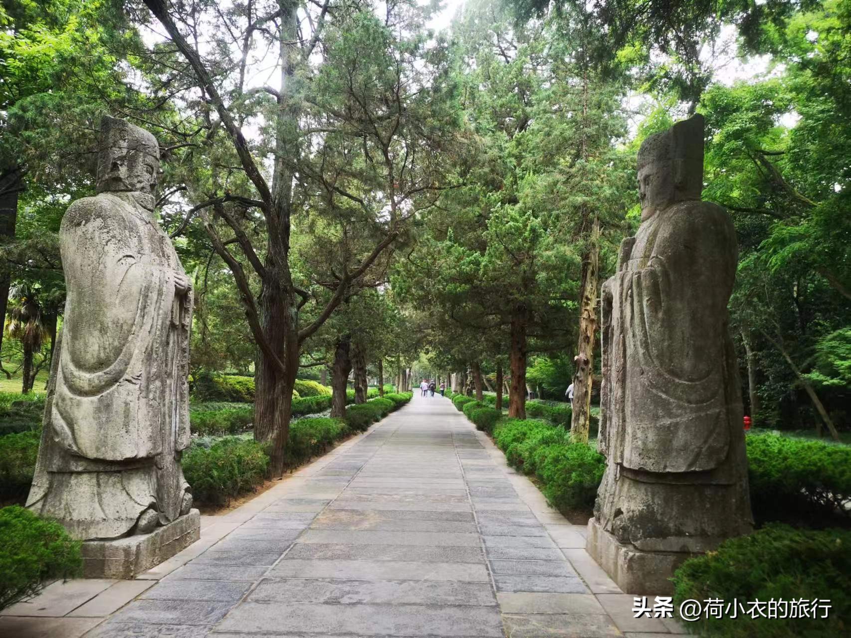 中山陵明孝陵南京博物院旅游攻略,南京明孝陵观赏秋色的最佳时间