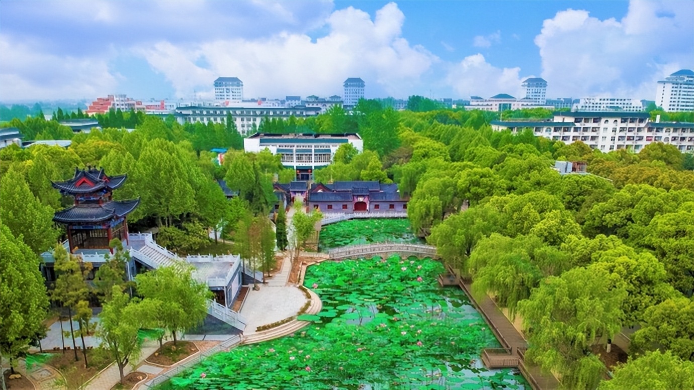 一人一树绿化地球公益活动,爱校护校共建美好校园