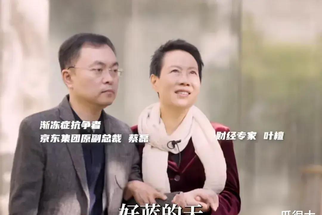 蔡磊与叶檀对话文字版,蔡磊叶檀是夫妻关系吗