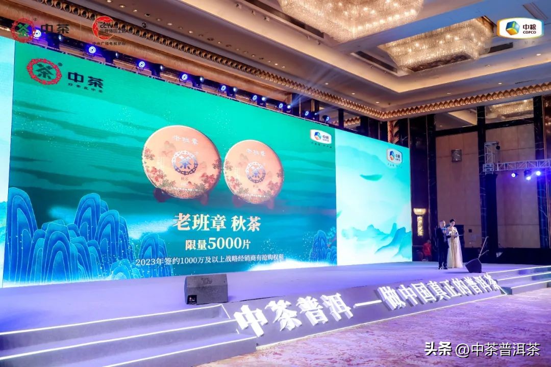 中茶普洱茶经销商信息大会,中茶2024年经销商大会