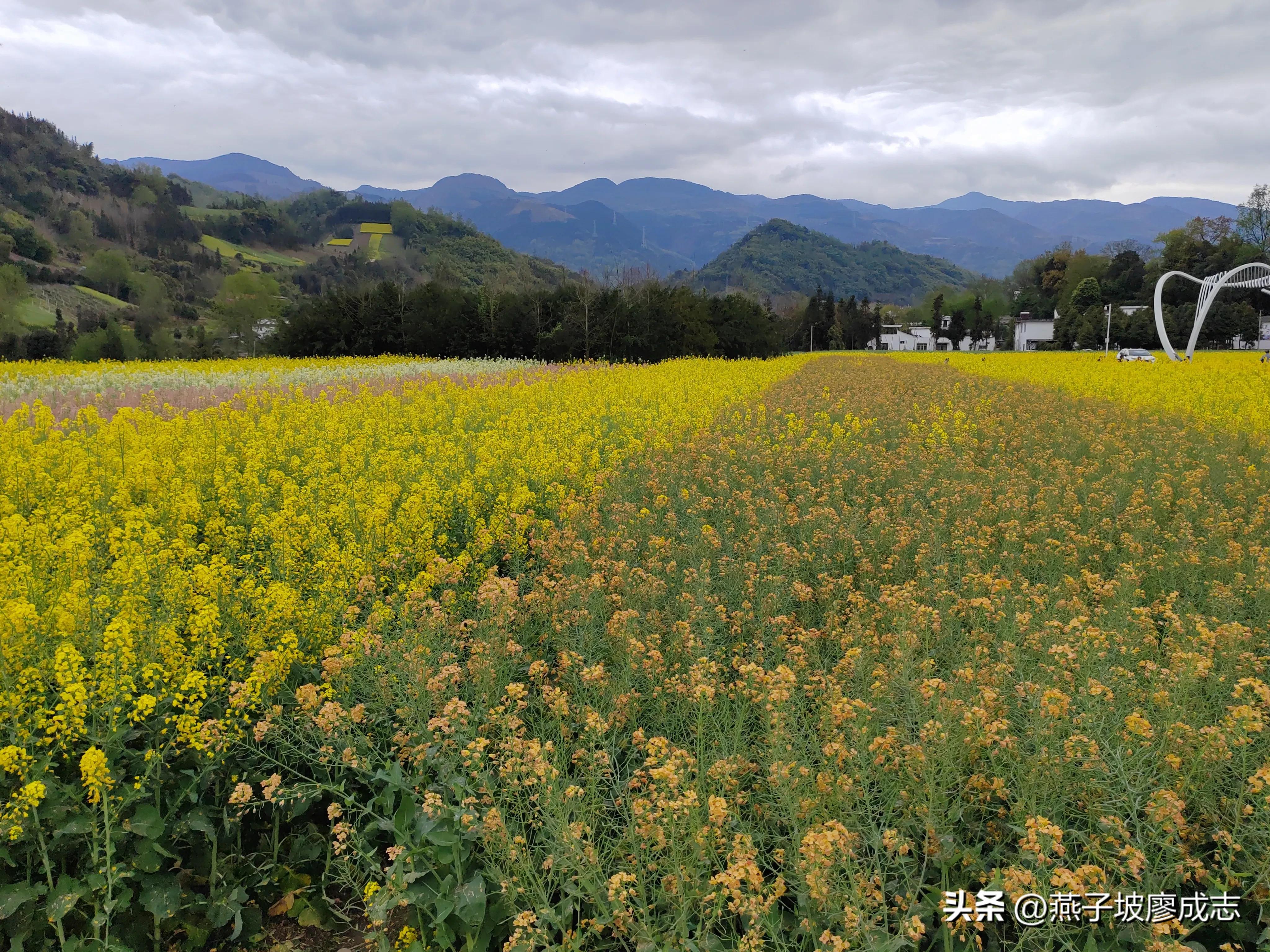 革命薪火,革命薪火代代相传绘画