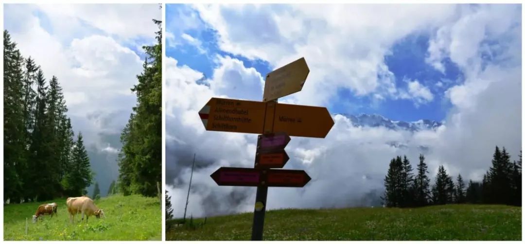 瑞士意大利德国奥地利自驾路线,意大利瑞士奥地利德国自驾游