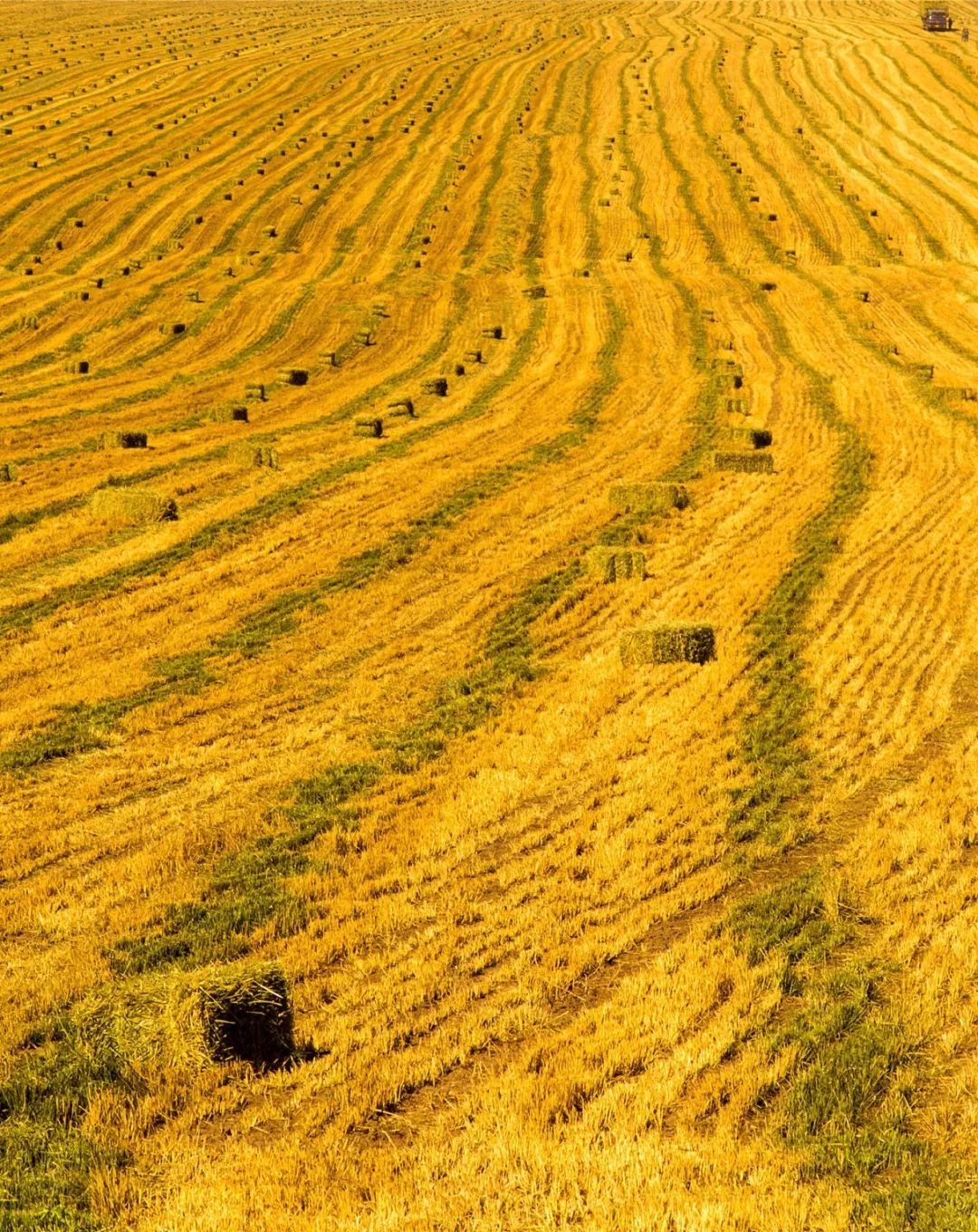 甘肃张掖有多少极致风光,甘肃张掖城市风光