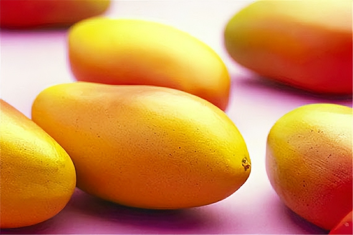 深圳光明乳鸽哪里最正宗,深圳乳鸽特产