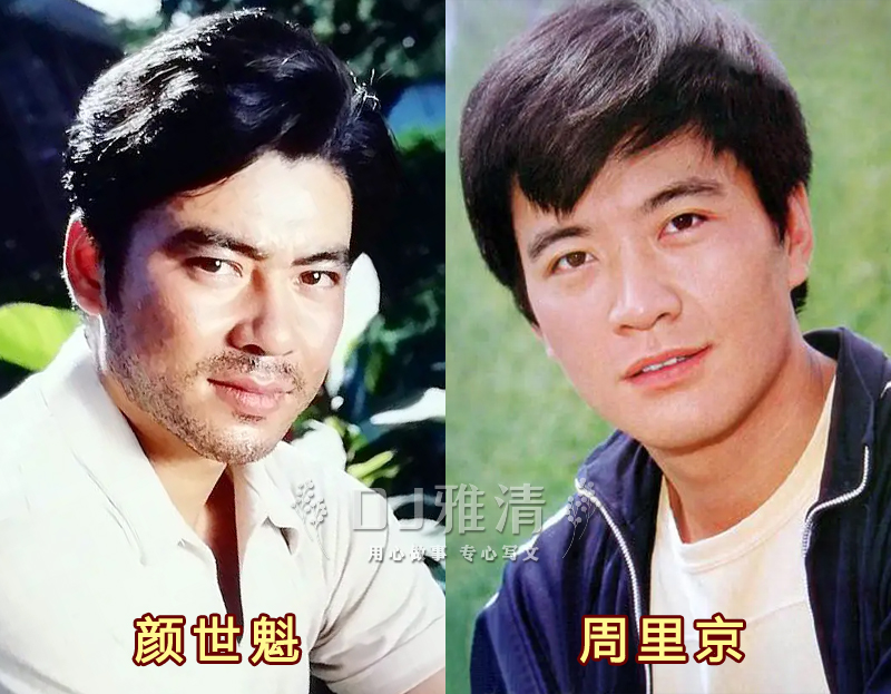 花开半夏实力派演员有哪些人,风吹半夏演员今昔对比盘点