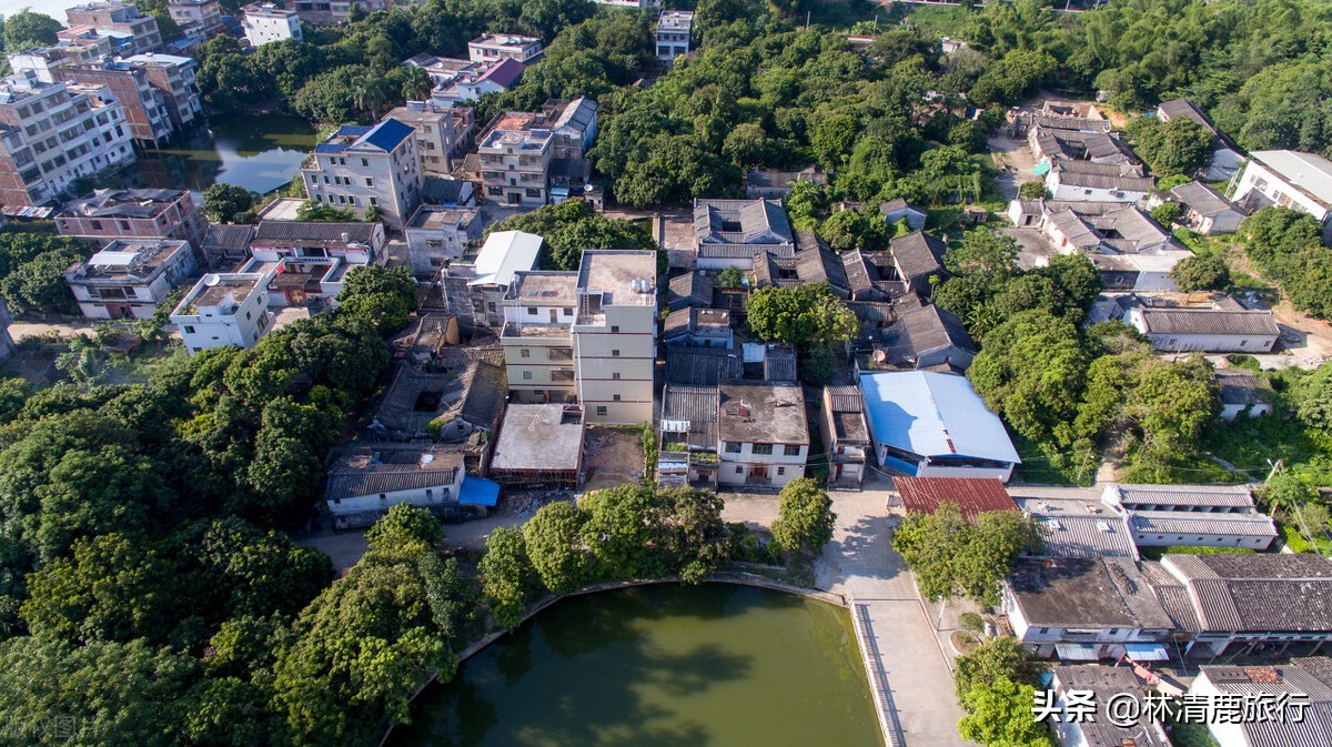 广东梅州大埔长寿之乡,养老长寿县