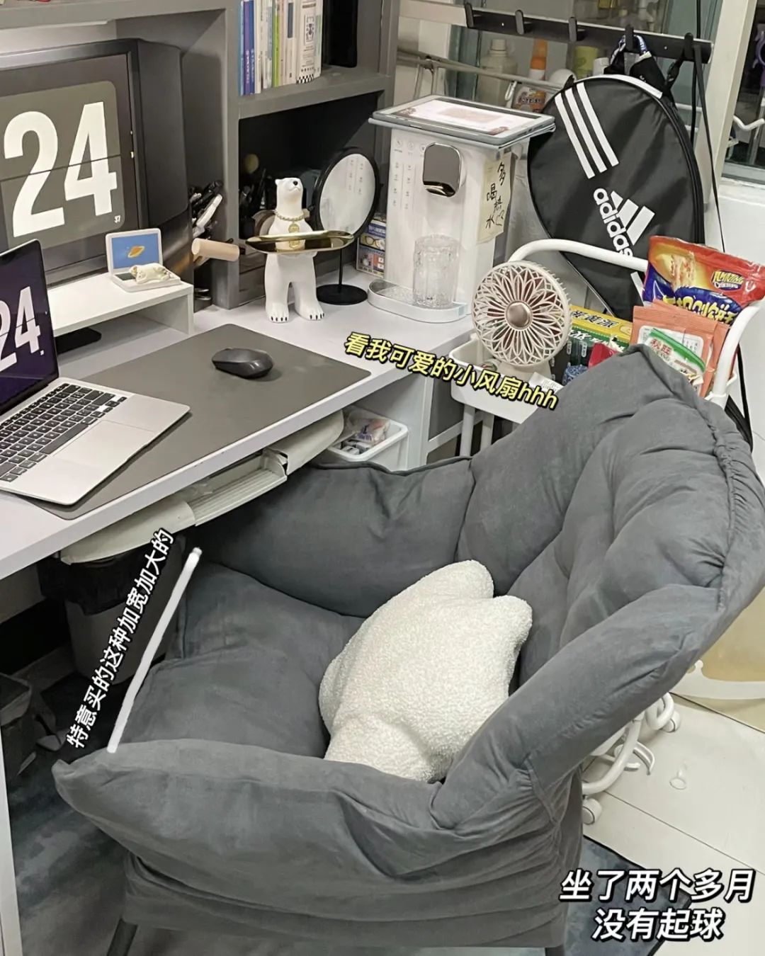 瀛︽牎绉嶅瓙閫夋墜,瀵濆澶村彿绉嶅瓙閫夋墜