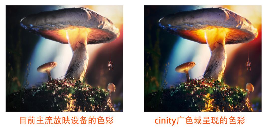 阿凡达2哪种影厅观影效果最好,阿凡达2厦门最佳观影影院