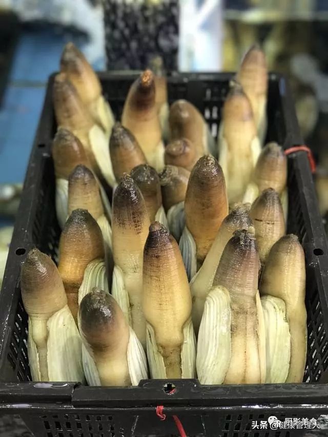 世界顶级海鲜食材,世界顶级的海鲜视频