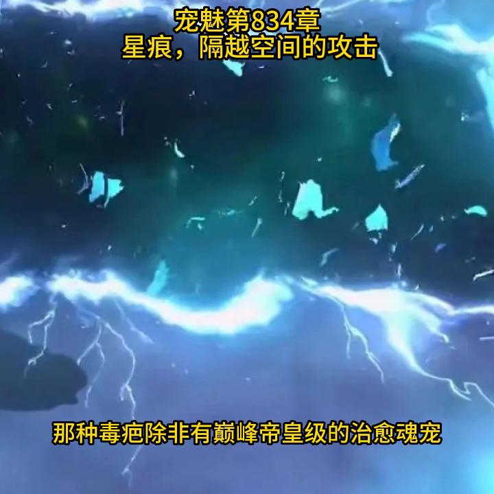 宠魅宠物用品,宠魅宠物生活馆