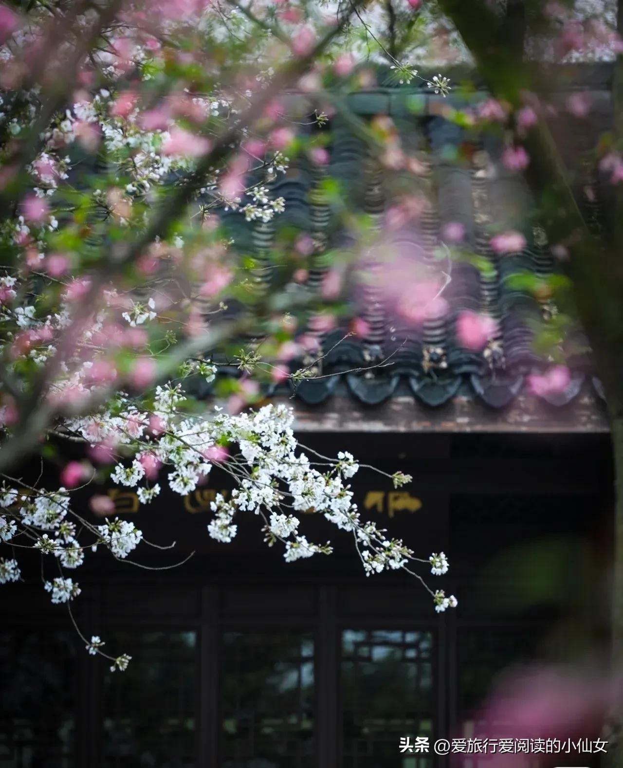 杭州旅游景点大全免费,杭州富阳免费景点大全