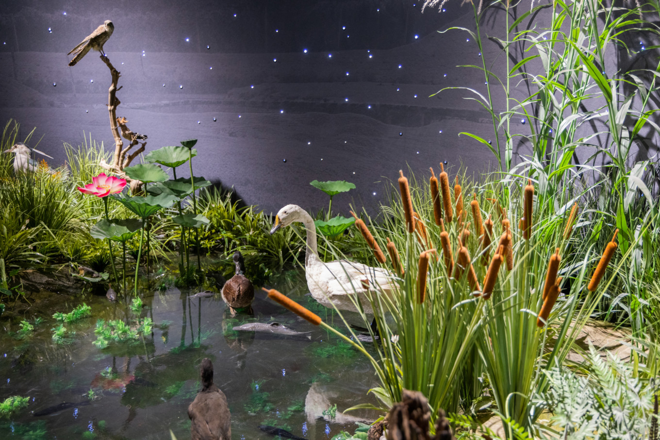 春日下江南杭州,泰州一日游攻略美食