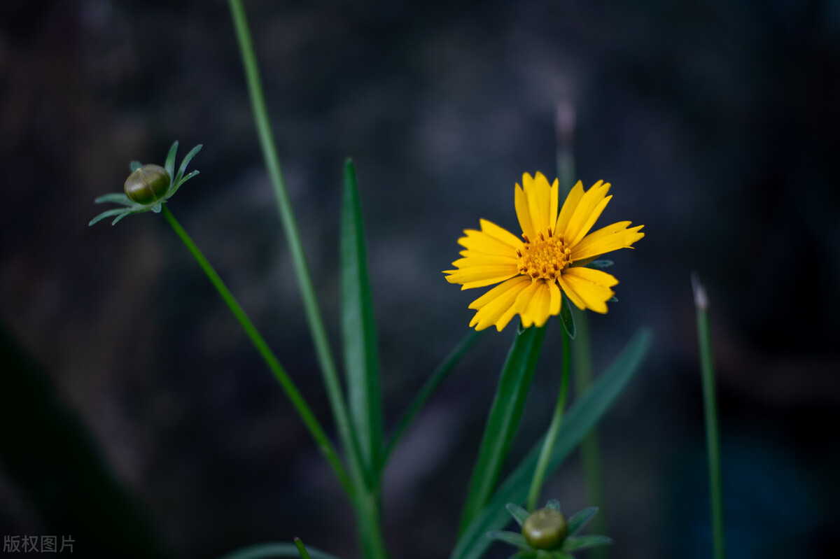 为什么两个人总是关系不好,两个人关系不好说明什么