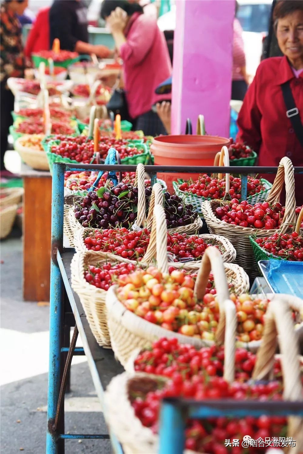 魅力海阳行,魅力新浦海阳