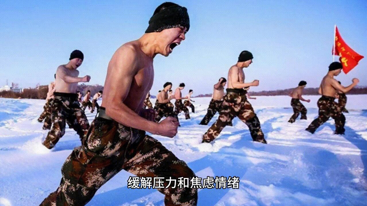 战争之影1-6季全集解说,战争之影第16集