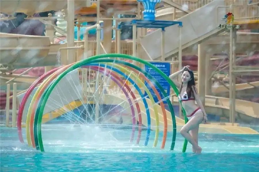 旅游年卡飞熊乐园,水上乐园年卡团购限几人