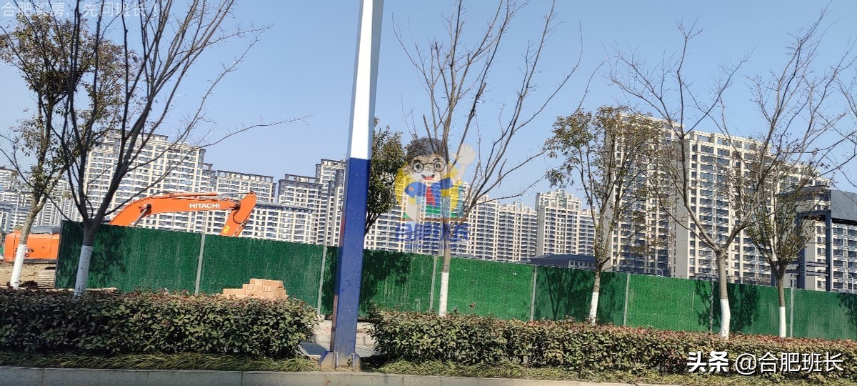 大力开发的滨湖西成色如何，班长跑遍16个项目带你看真实的板块