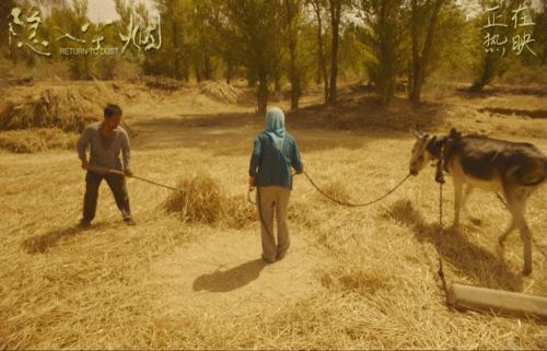 圈内人爆料的假恩爱夫妻,被骂最惨的一对秀恩爱夫妻