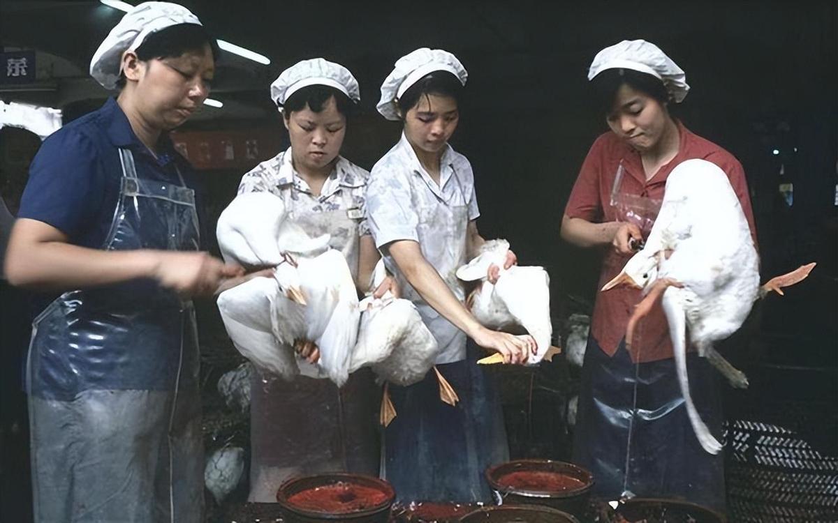 30张真实又罕见的老照片，阴毛假发工作者，我怀疑他用错地方了2