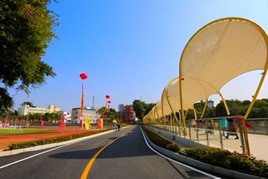 广西高职大专院校排名一览表,广西2024高职院校排名