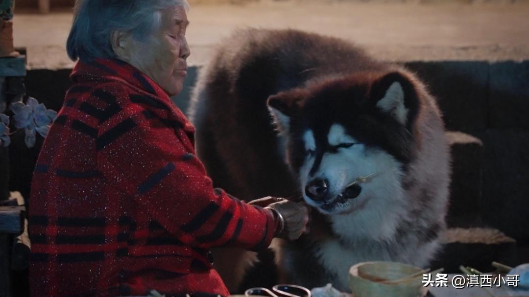 云南烧烤蘸水配方,作者大鱼大肉的免费作品