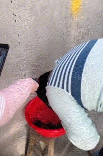 林志玲为什么越来越像日本贵妇,林志玲越来越像日本贵妇