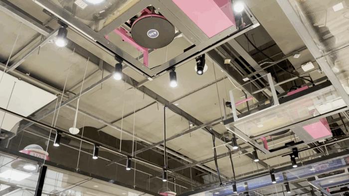 全网都在夸猎豹,全网都在夸猎豹高速摄影机