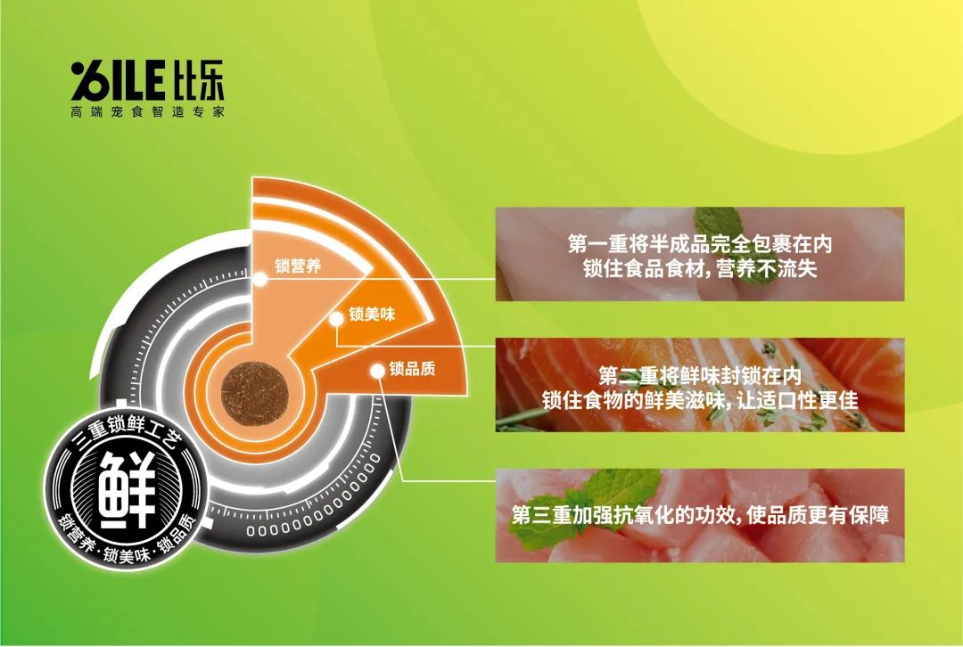 深耕行业十六年，比乐品牌升级：高端宠食智造专家是如何炼成的？