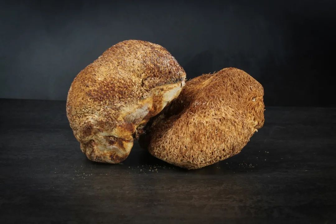 猴头健胃灵功效和作用,猴头功效