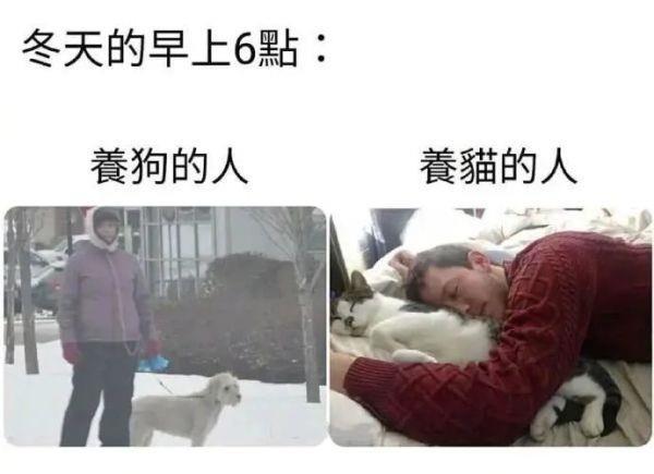 神回复女朋友高情商,神回复女朋友不听话