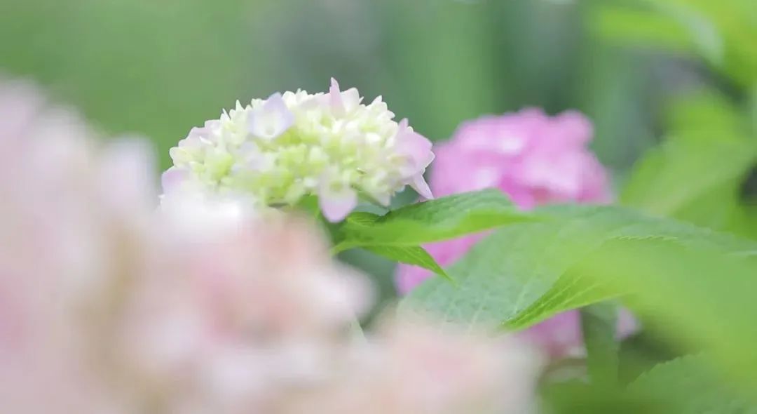 逃离喧闹的城市呼吸新鲜的空气,逃离都市最好民宿