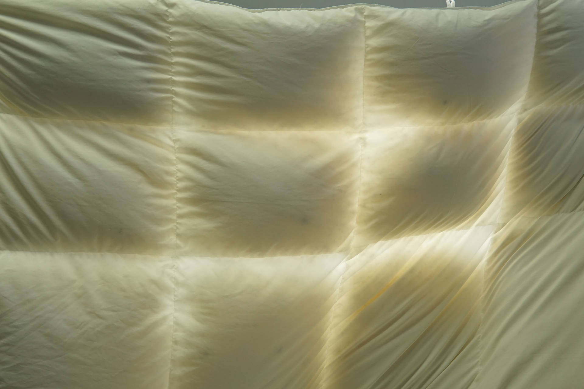 网易严选鹅绒被是哪一家代工,网易严选的鹅绒被是真的吗