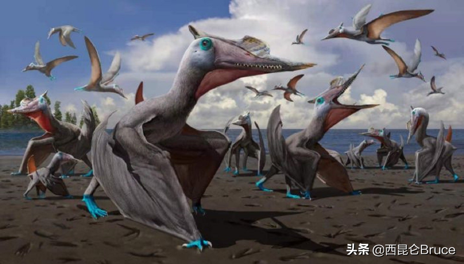 恐龙食物被发现！我国科学家证实翼龙食团的存在，网友：会涨价吗