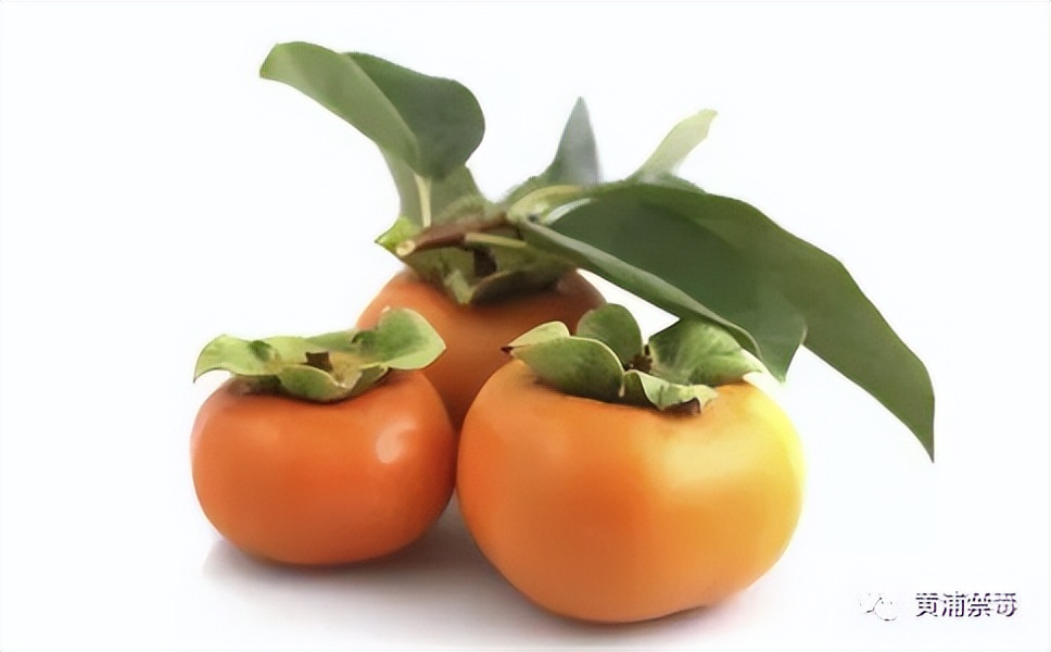 健康小贴士吃零食,健康小贴士秋季