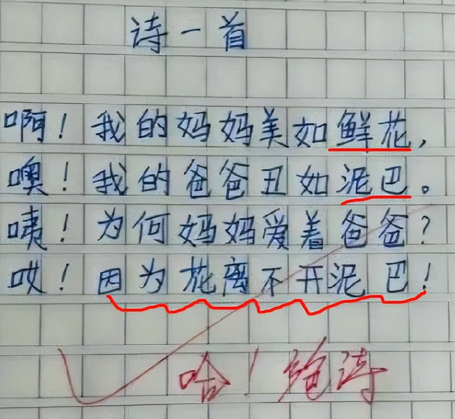 小学生作文我的妈妈范文,作文我的妈妈描写妈妈容貌和神态