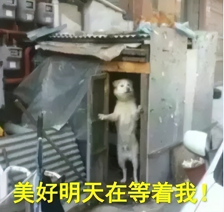 租房找一楼是不是不太好,租房到最高层的弊端