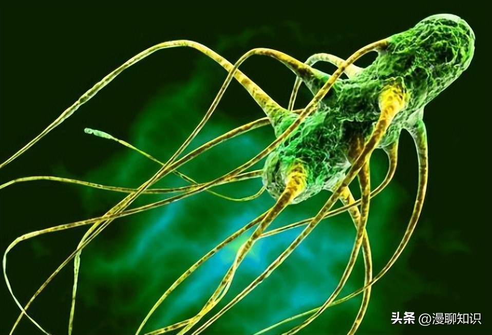 慢性复发性骨髓炎儿童案例,青少年得慢性骨髓炎能治好吗