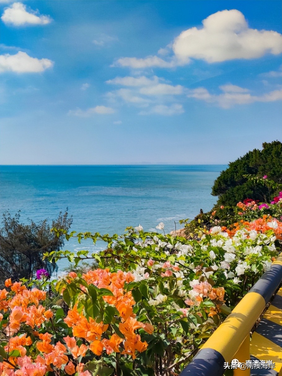 gogogo杭州,南澳岛夏日游