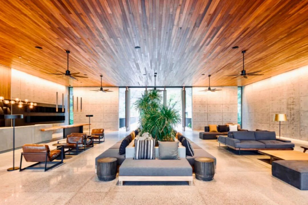 中越边境的世外桃源,中越边境线上的桃源