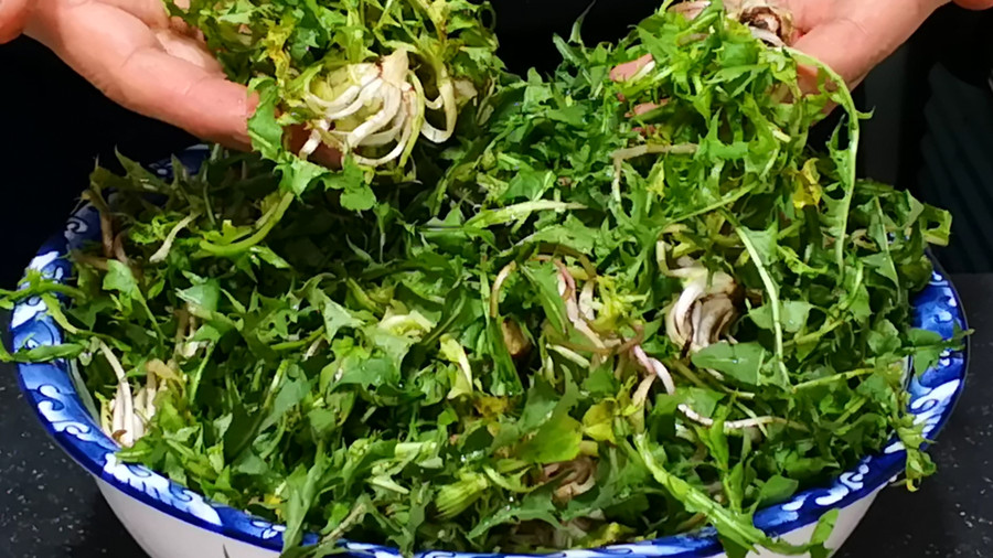 护肝冠军,藏在草丛里的护肝冠军全身是宝