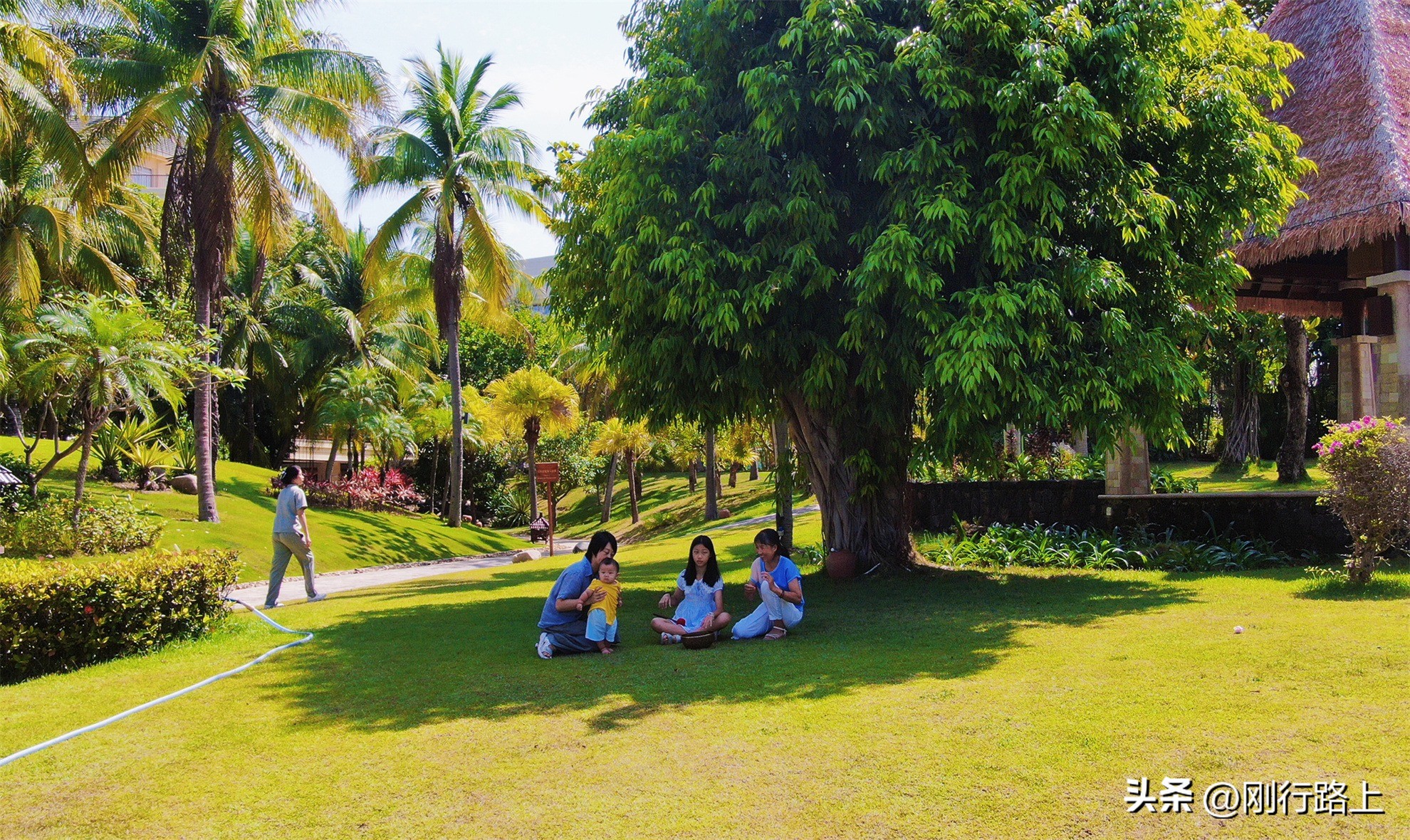 三亚亚龙湾喜来登度假酒店优惠,三亚亚龙湾喜来登度假酒店测评