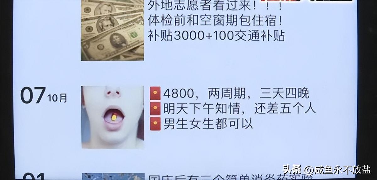 试药员一年能赚20万吗,试药员如何做到月入10w
